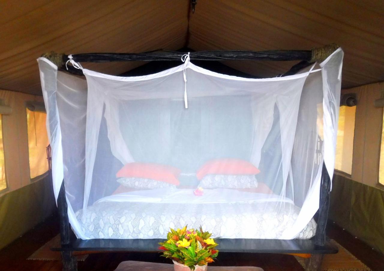 Kwale Shimba Hills Green Safari Lodge מראה חיצוני תמונה